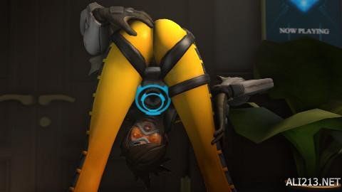 理智且有序 理智且有序